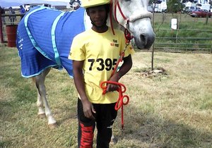 Uitmergelende Perde-uithouwedren